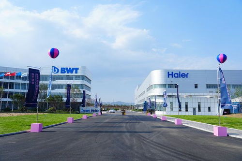 新生力量注入产业融合 ——BWT海尔智能净水工厂首批套系正式下线 助力禾里电力探索水科技赋能新场景